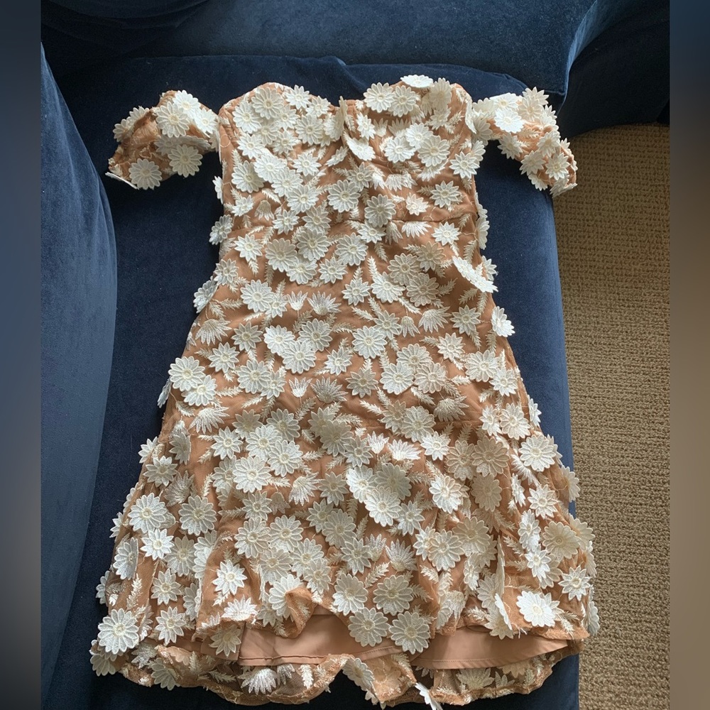 For love and lemons mini dress